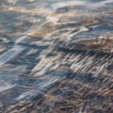 SEOの基本 — 中小企業が半年で検索1ページ目に入る戦略