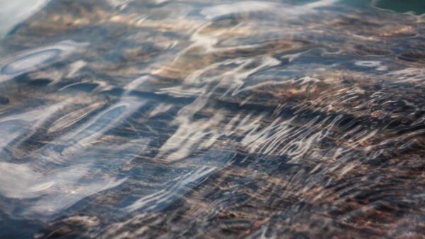 SEOの基本 — 中小企業が半年で検索1ページ目に入る戦略