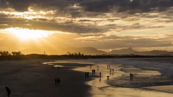 リターゲティング広告で費用対効果を最大化する方法｜「追いかけるだけ」で終わらない運用術