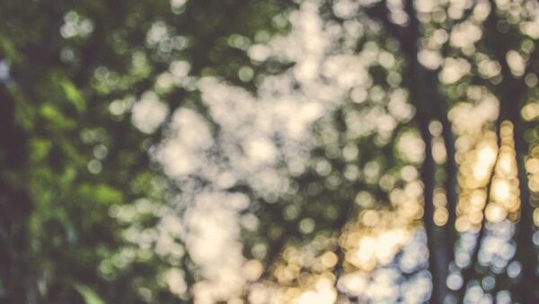 Webサイトの直帰率を下げる5つの改善施策｜広告費を無駄にしないサイト設計の基本