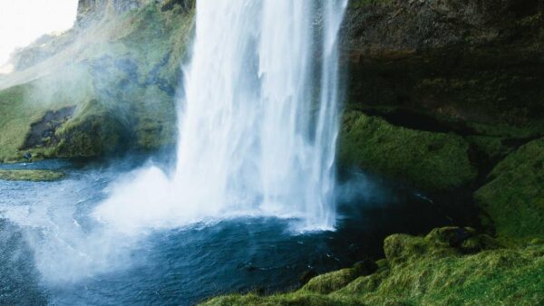 小さな会社がSEOで勝つためのニッチ戦略｜大手と戦わずに検索上位を取る方法