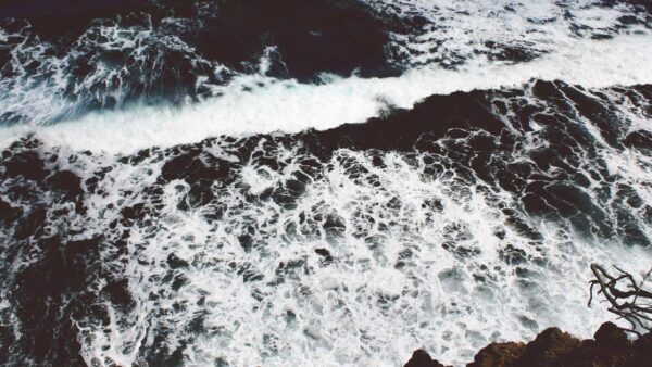 広告レポートの読み方と改善アクションの導き方｜数字を「見る」から「使う」へ