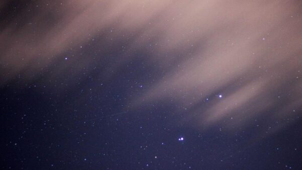 LINE公式アカウントを集客に活用する実践ガイド｜友だち追加から売上につなげる設計図