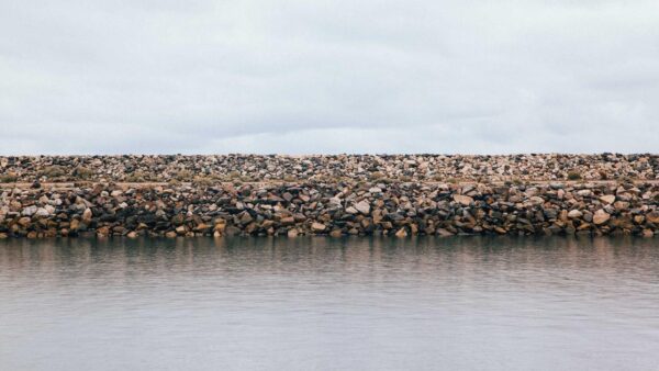 非エンジニアこそAI業務自動化ツールを導入すべき3つの理由