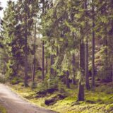 BtoB企業のLinkedIn活用——リード獲得の新常識を全部書く