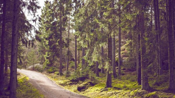 BtoB企業のLinkedIn活用——リード獲得の新常識を全部書く