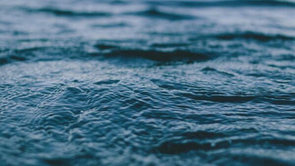 SEOの基本 — 中小企業が半年で検索1ページ目に入る戦略