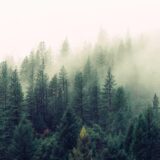 口コミマーケティング——レビューを増やして売上を伸ばす仕組み｜口コミゼロの店が半年で120件集めた話