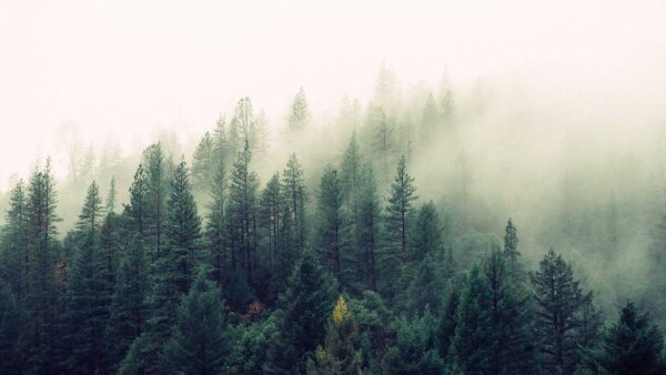 口コミマーケティング——レビューを増やして売上を伸ばす仕組み｜口コミゼロの店が半年で120件集めた話