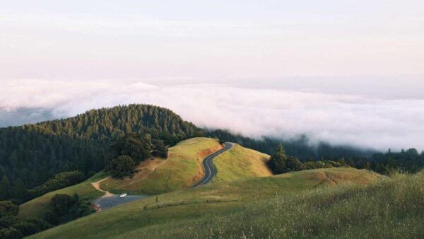 リターゲティング広告で費用対効果を最大化する方法｜「追いかけるだけ」で終わらない運用術