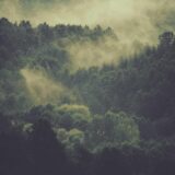 広告レポートの読み方と改善アクションの導き方｜数字を「見る」から「使う」へ