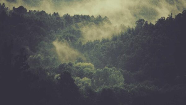 広告レポートの読み方と改善アクションの導き方｜数字を「見る」から「使う」へ