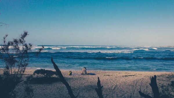 LINE公式アカウントを集客に活用する実践ガイド｜友だち追加から売上につなげる設計図