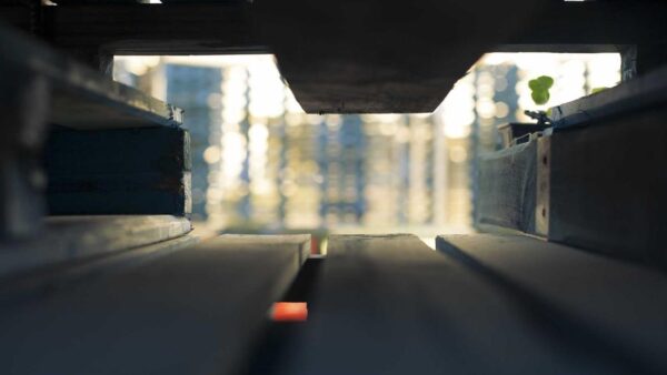 Google広告のコンバージョン計測、9割の会社が間違えてる5つの設定