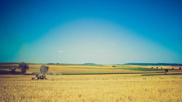 LP改善で成約率を上げた3つのポイント