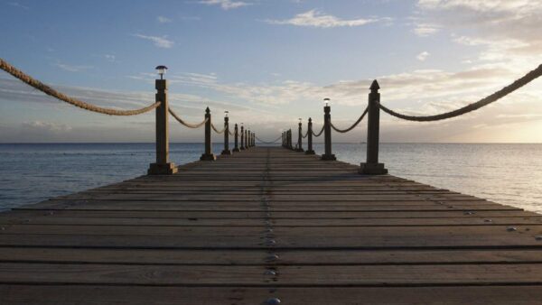 中小企業のメルマガで売上を月50万円上乗せした仕組み