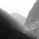 広告費月10万円でROI3倍を実現した運用方法