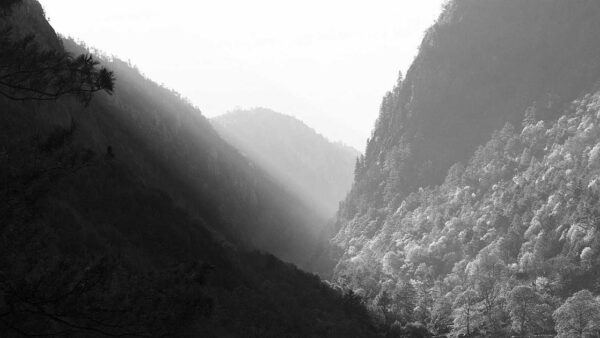 広告費月10万円でROI3倍を実現した運用方法