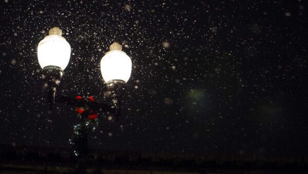 採用コストを半分にしたIndeed × SNS採用の使い分け