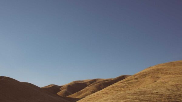 MEO対策完全ガイド｜Googleマップで上位表示させて地域の客を総取りする方法