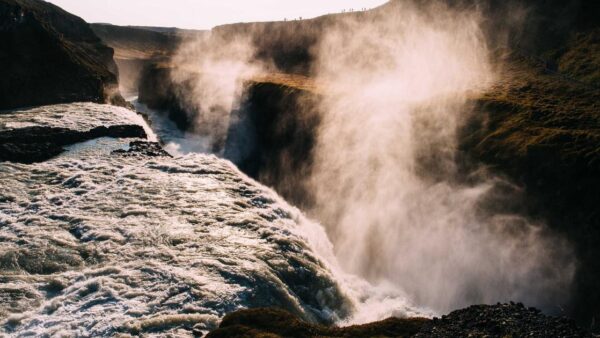 Instagram運用完全ガイド｜フォロワー1000人から売上につなげる実践設計