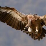 LP改善で問い合わせ率を上げるチェックリスト｜CVR1%未満から抜け出す15の確認項目