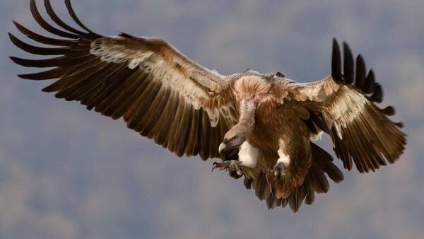 LP改善で問い合わせ率を上げるチェックリスト｜CVR1%未満から抜け出す15の確認項目