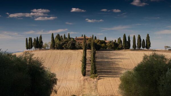 Instagram広告とFacebook広告の使い分け｜目的別・業種別に最適な配信先を選ぶ方法