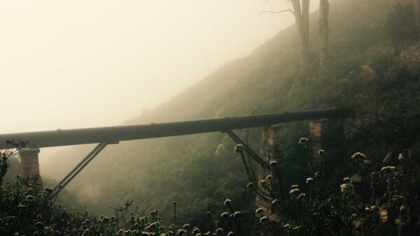 中小企業のLINE公式アカウント活用 — 友だち0人から月30件の問い合わせを生む仕組み