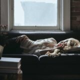 フォーム営業の設計図 — 反応率2%を超えるリスト作り×文面×送り方の全技術