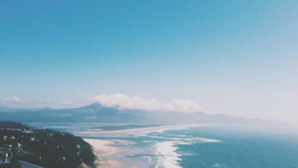 TikTok広告の始め方｜短尺動画で見込み客を集める中小企業の実践ガイド