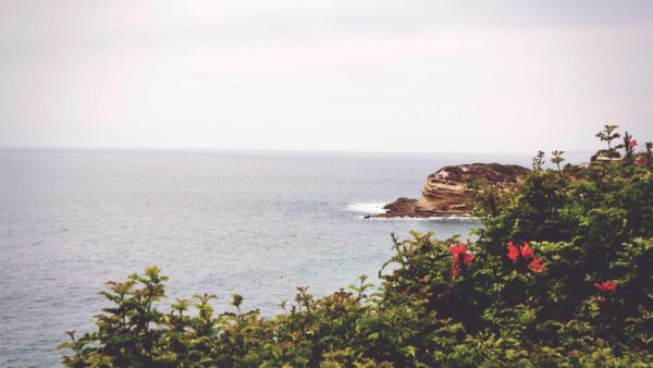 マーケティングオートメーション入門｜中小企業が使いこなすための設計と実践