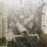 ECモールやポータルサイト依存からの脱却：利益を最大化する「攻めの撤退」戦略とは？