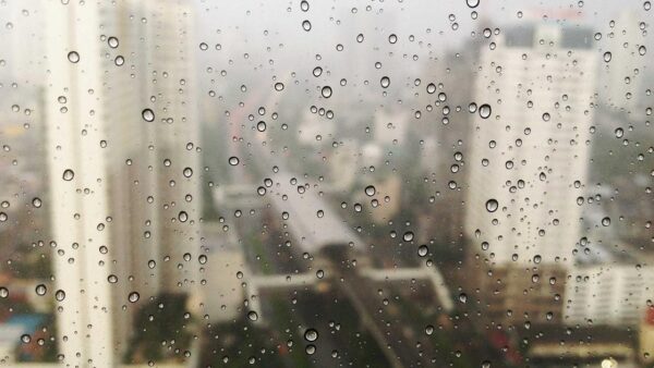 ECモールやポータルサイト依存からの脱却：利益を最大化する「攻めの撤退」戦略とは？