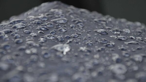 【リスティング広告 vs Meta広告（Facebook＆Instagram）】中小企業向けはどっち？